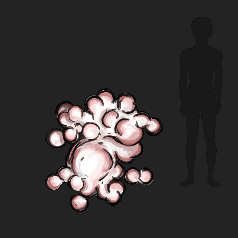 rk_шаровый_гриб.webp