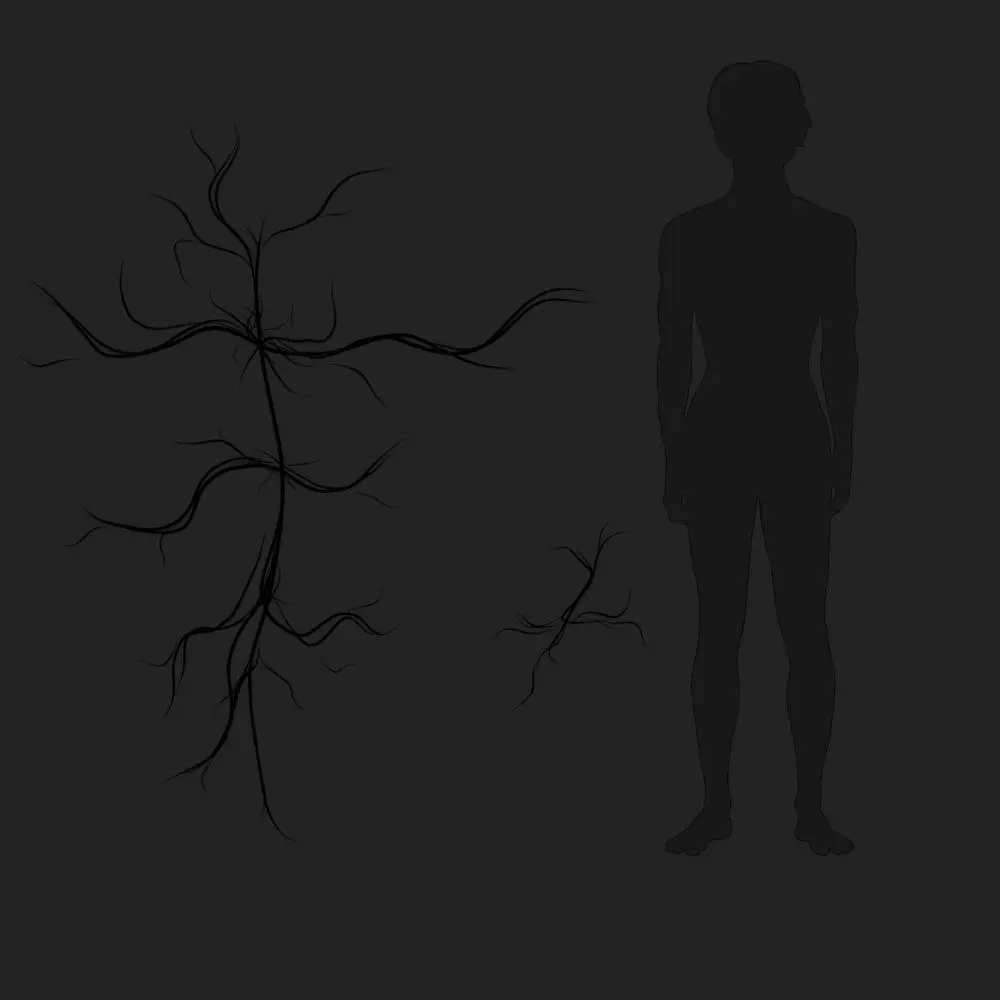 sk_Чёрный_ловец_паразит.webp